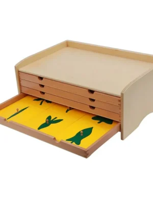 Cabinet de botanique (meuble de feuilles en bois)