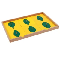 Cabinet de botanique (meuble de feuilles en bois)