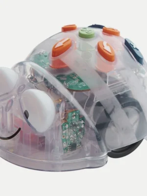 Blue-Bot Robot programmable